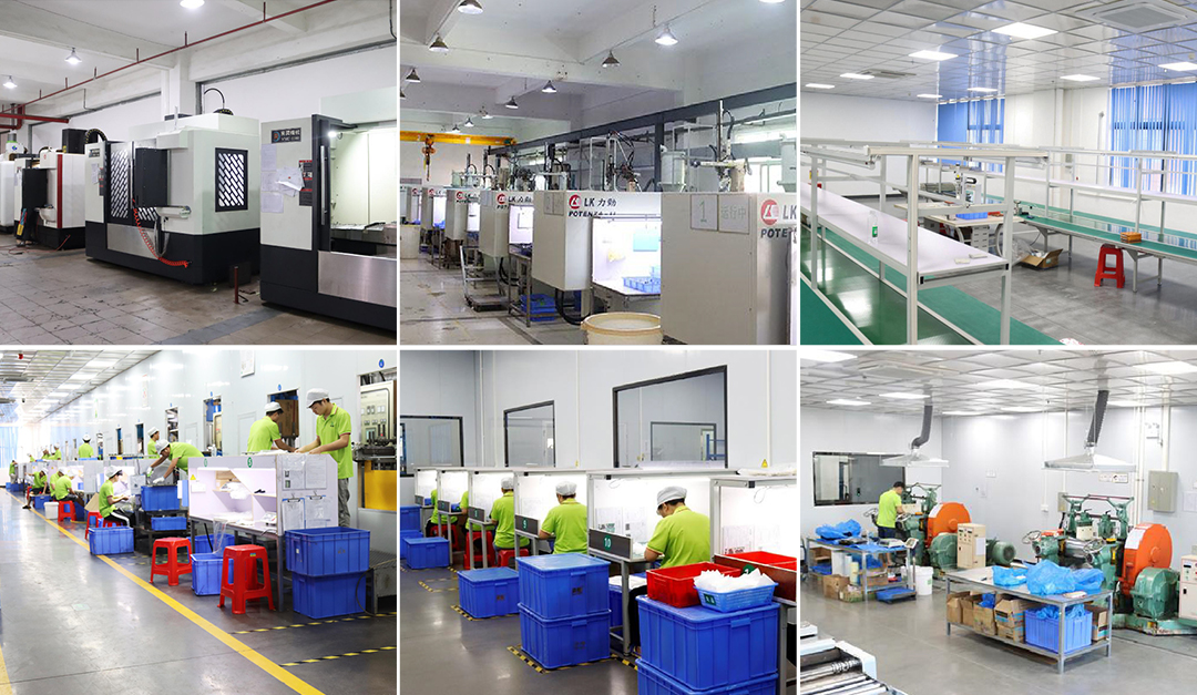 WHO WE ARE WHO WE ARE